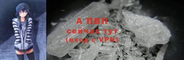 СК Алексин