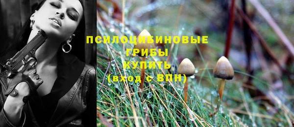 ПСИЛОЦИБИНОВЫЕ ГРИБЫ Абинск
