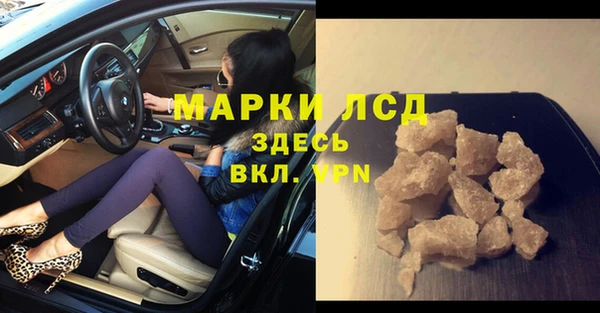 СК Алексин