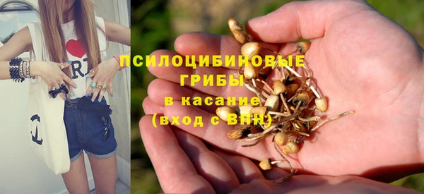 амфетамин Алексеевка