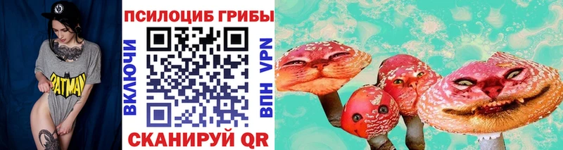blacksprut рабочий сайт  Куртамыш  Псилоцибиновые грибы прущие грибы  где продают наркотики 